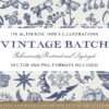 156 Misc. Vintage Illustrations Pack