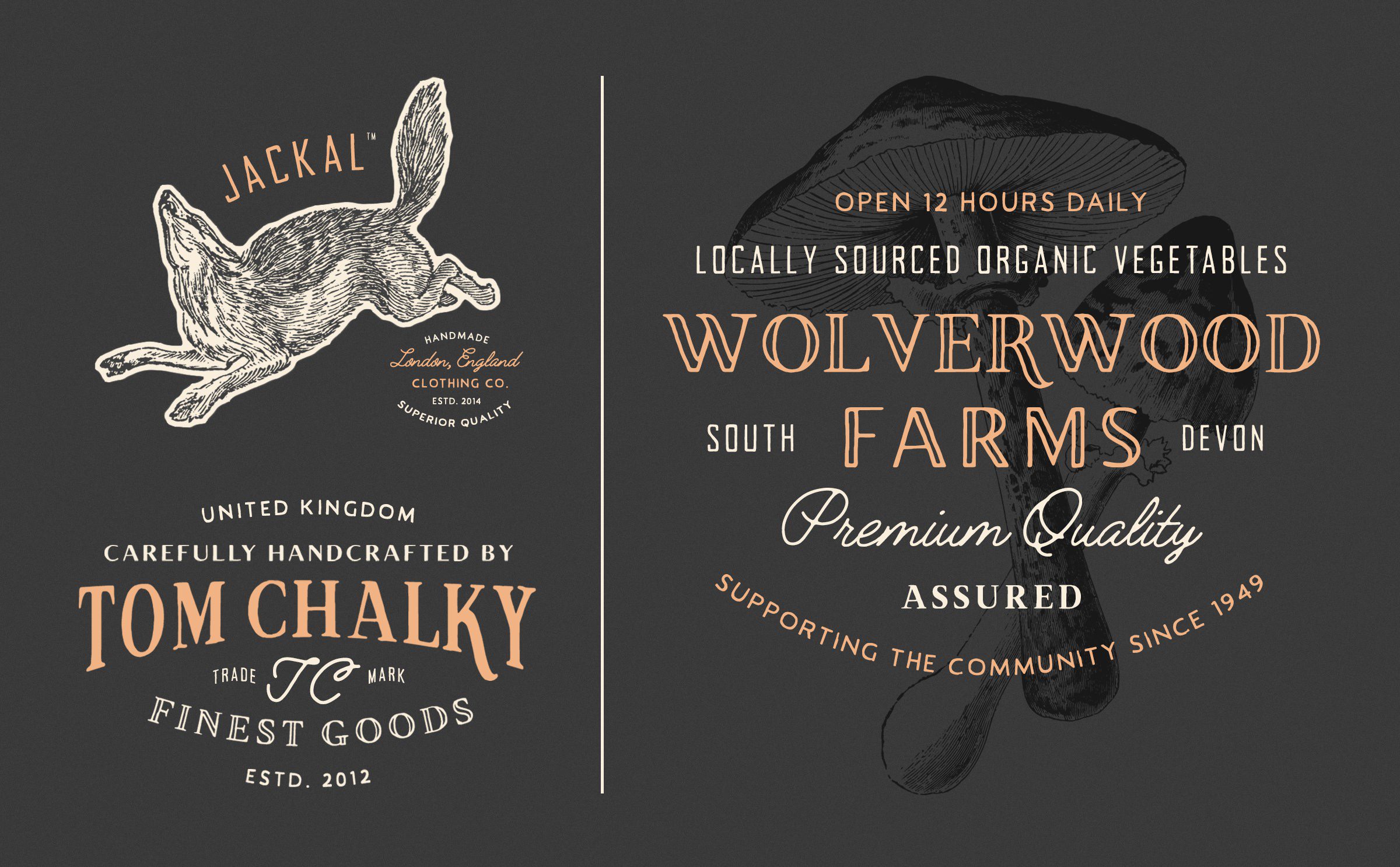 Download The Handcrafted Vintage Fonts Pack Tom Chalky