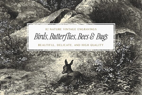 Birds, Butterflies, Bees & Bugs