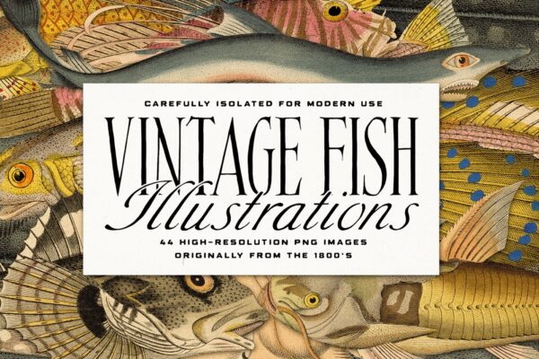 44 High Resolution Vintage Fish Full Color Illustrations