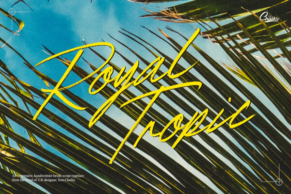 Royal Tropic - Handwritten Brush Script Typeface