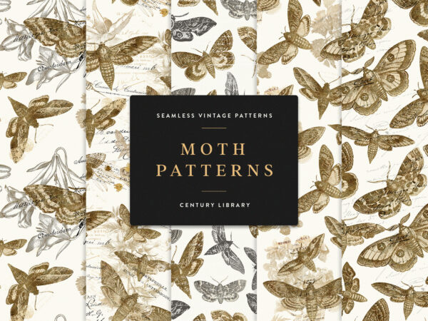 Golden Vintage Moth Seamless Patterns
