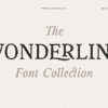 The Wonderling Font Pack